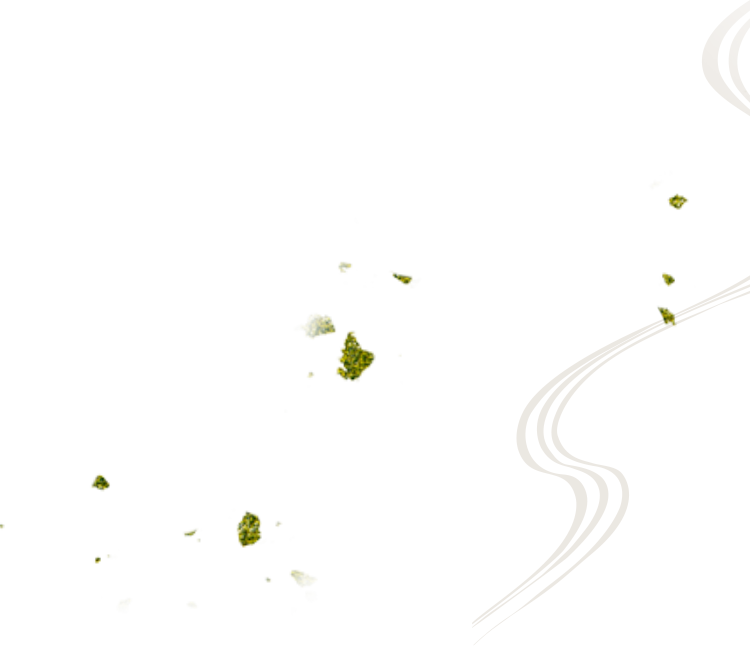 deco