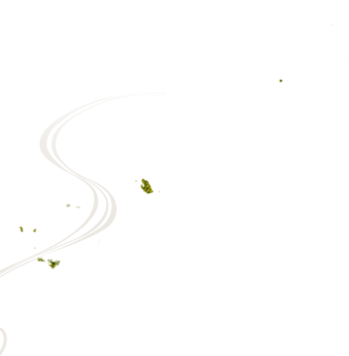 deco