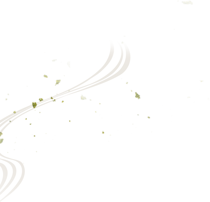 deco